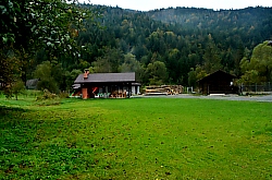 Pensiunea Armonia, Albac , Foto: WR