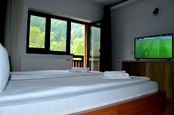 Pensiunea Armonia, Albac , Foto: WR