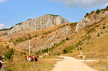 Cheile Valisoarei, DN75 Lunca-Turda, Foto: WR