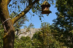 Conacul Secuiesc, Parcul, Coltesti , Foto: WR