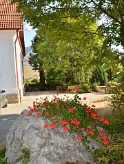 Conacul Secuiesc, Parcul, Coltesti , Foto: WR