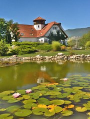 Conacul Secuiesc, Parcul, Coltesti , Foto: WR