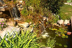 Conacul Secuiesc, Parcul, Coltesti , Foto: WR