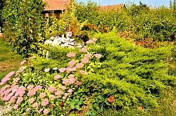 Hostel Kereki, Cornesti , Foto: WR