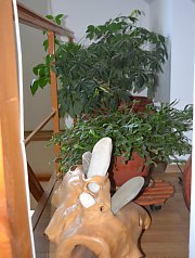 Hostel Kereki, Cornesti , Foto: WR