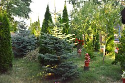 Casa Bogdan, Moldovenesti , Foto: WR