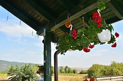 Poarta Paradisului, Moldovenesti , Foto: WR