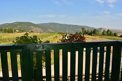 Poarta Paradisului, Moldovenesti , Foto: WR