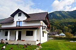 Netotea, Vidra , Foto: WR