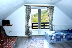 Netotea, Vidra , Foto: WR