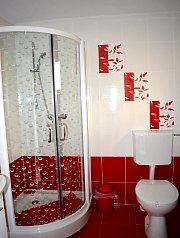 Netotea, Vidra , Foto: WR