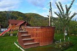 Netotea, Vidra , Foto: WR