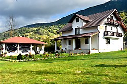 Netotea, Vidra , Foto: WR