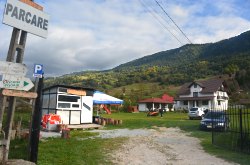 Netotea, Vidra , Foto: WR