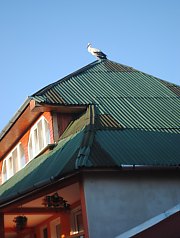 Anisoara panzió, Kiskóh , Fotó: WR