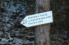 Tehenek barlangja, Albioara szoros , Fotó: Tőrös Víg Csaba