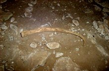 Tehenek barlangja, Albioara szoros , Fotó: Tőrös Víg Csaba