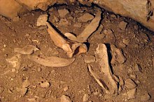 Tehenek barlangja, Albioara szoros , Fotó: Tőrös Víg Csaba