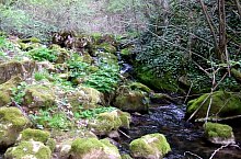 Toplica vízkitörés, Albioara szoros , Fotó: Emil Perț