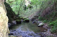 Toplica vízkitörés, Albioara szoros , Fotó: Emil Perț