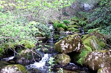 Toplica vízkitörés, Albioara szoros , Fotó: Emil Perț