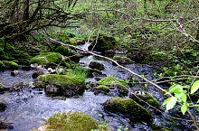 Toplica vízkitörés, Albioara szoros , Fotó: Emil Perț