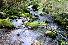 Toplica vízkitörés, Albioara szoros , Fotó: Emil Perț