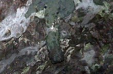 Toplica vízkitörés, Albioara szoros , Fotó: Emil Perț