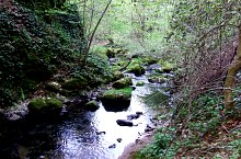 Toplica vízkitörés, Albioara szoros , Fotó: Emil Perț