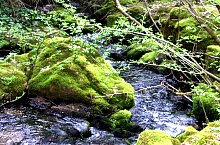 Toplica vízkitörés, Albioara szoros , Fotó: Emil Perț