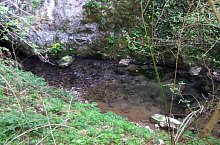 Toplica vízkitörés, Albioara szoros , Fotó: Emil Perț