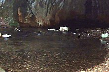 Toplica vízkitörés, Albioara szoros , Fotó: Emil Perț