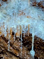 Farcu crystal cave, Lazuri gorge , Photo: WR