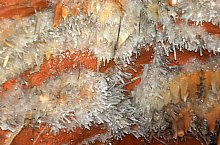 Farcu crystal cave, Lazuri gorge , Photo: WR
