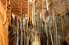 Zsofi barlang, Albioara szoros , Fotó: Sebastian Ene