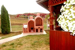 Vila Silver, Sambata , Foto: WR