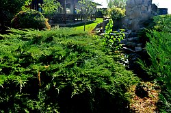 Motel Orizont, Foto: WR