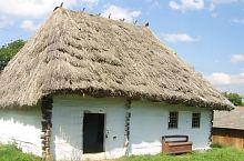 Cârțișoara, Foto: Felicia Cristina Nastase