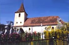 Cârțișoara, Foto: Felicia Cristina Nastase