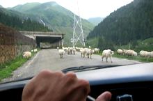 Transfagarasanul partea sudica, DN7c Transfagarasan, Foto: Cătălin Lucan