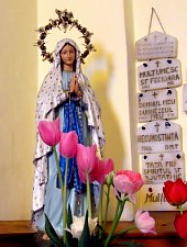 Biserica catolica, Campia Turzii , Foto: Ana Maria Catalina