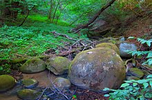 Căprioara valley, Feleacu , Photo: Ilie Olar