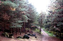 Căprioara valley, Feleacu , Photo: Almási Attila