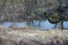 Căprioara valley, Feleacu , Photo: Csupor Jenő