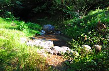Căprioara valley, Feleacu , Photo: Ilie Olar