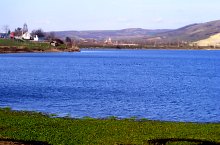 Halastó, Radnót , Fotó: György István Csaba