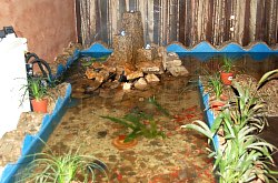 Casa Zânelor panzió, Szászfenes , Fotó: WR