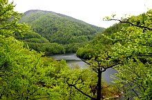 Lacul de acumulare Tarnita, Gilau , Foto: Csupor Jenő