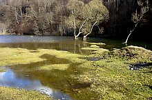 Lacul de acumulare Tarnita, Gilau , Foto: Csupor Jenő