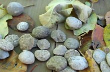 Savadisla , Foto: Primăria Săvădișla